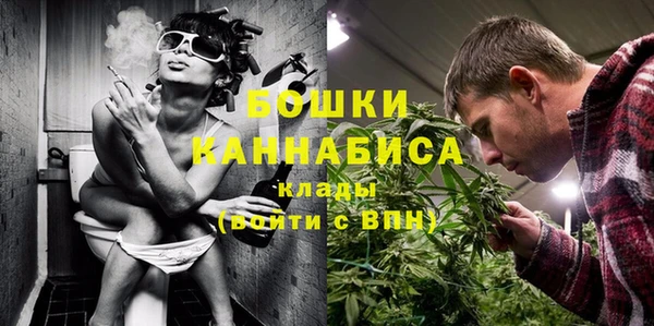 МДПВ Гусев