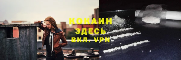 МДПВ Гусев