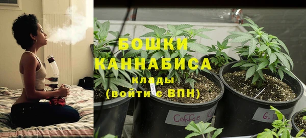 метадон Гусиноозёрск