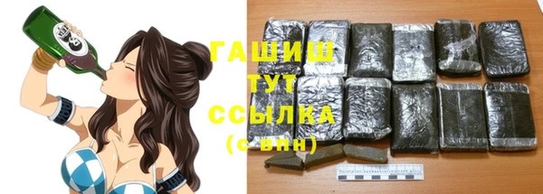 МДПВ Гусев