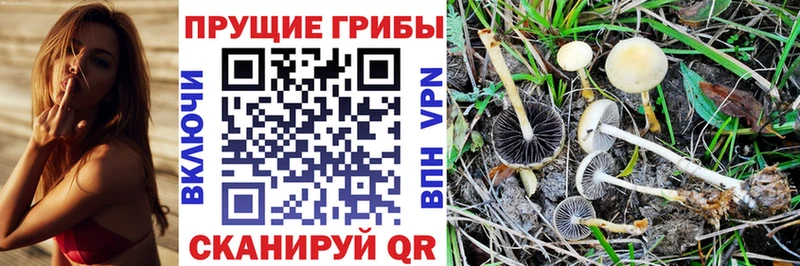 Псилоцибиновые грибы прущие грибы  Купить закладки  Валдай 